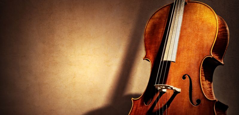 Gain confidence through recitals and performances